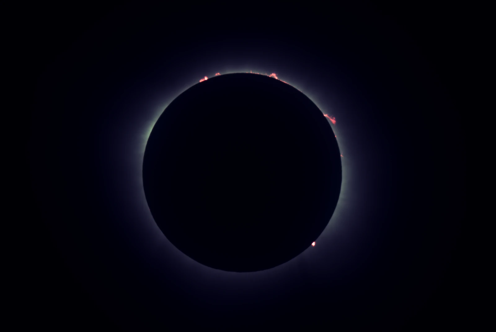 The moon fully covering the sun during totality, ringed by the white corona and red prominences