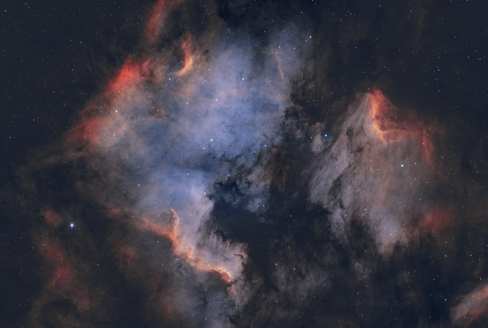 The North America and Pelican nebulae in Cygnus, glowing red and blue against a dense star field